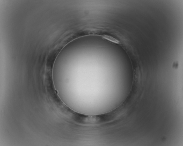 X0000113260225200909171657