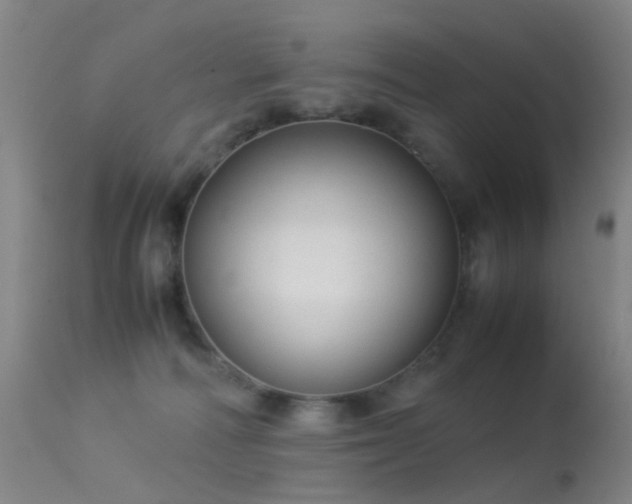 X0000113260226200909171657