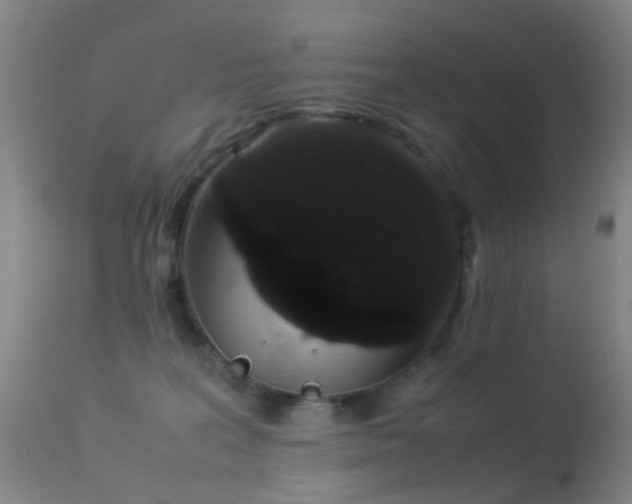 X0000113260227200909171657