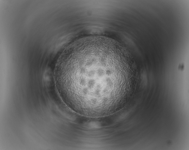 X0000113260228200909171657