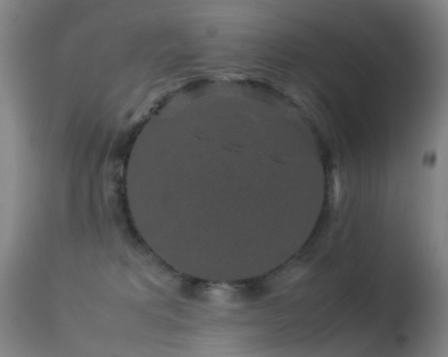 X0000113260229200909171657