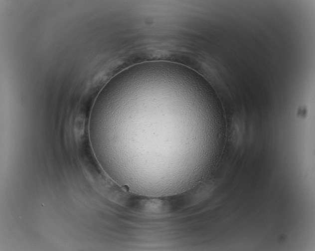 X0000113260230200909171657