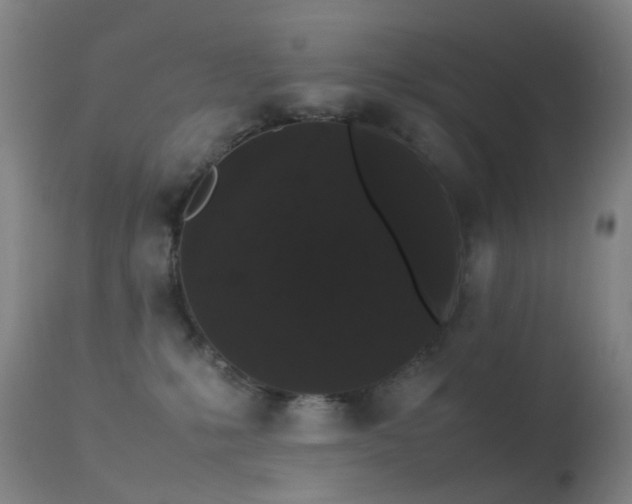 X0000113260231200909171657