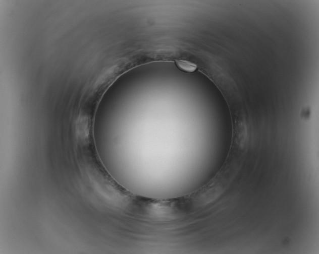 X0000113260232200909171657