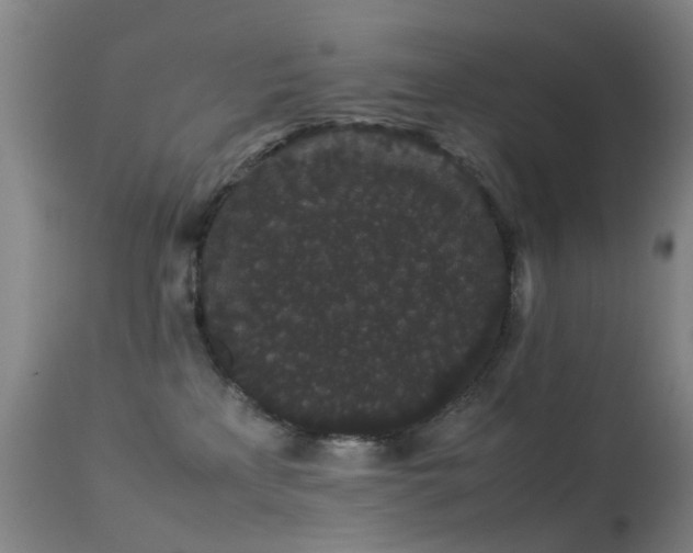 X0000113260233200909171657