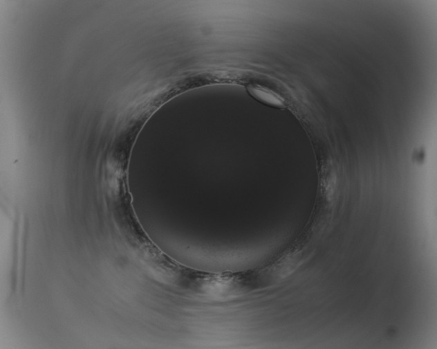 X0000113260235200909171657