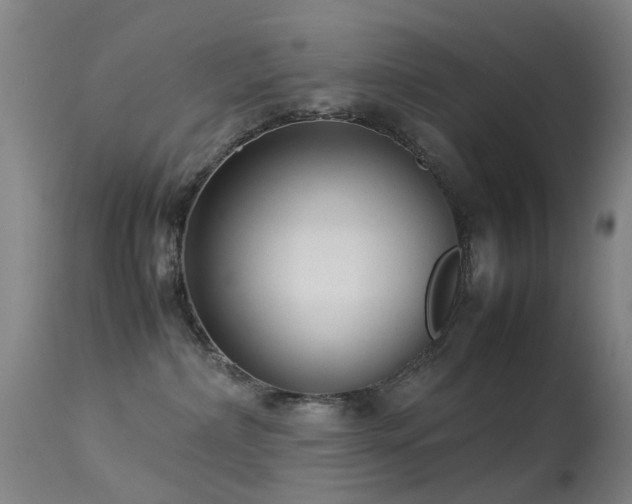 X0000113260236200909171657