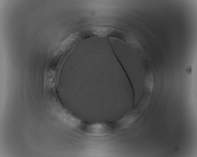 X0000113260237200909171657