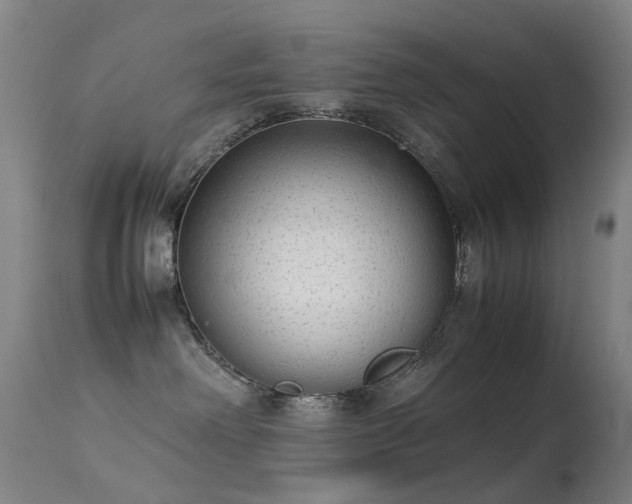 X0000113260238200909171657