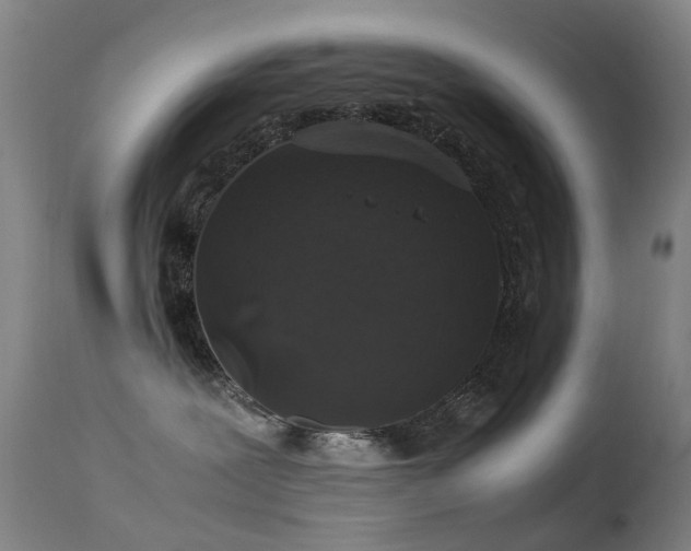 X0000113260239200909171657