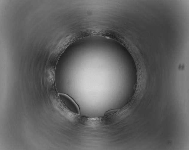 X0000113260240200909171657