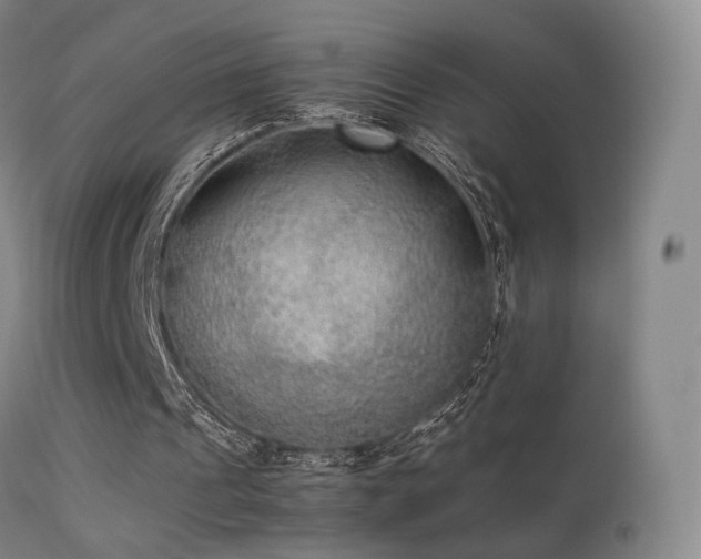 X0000113260241200909171656