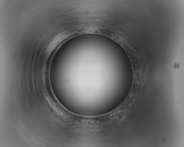 X0000113260242200909171656