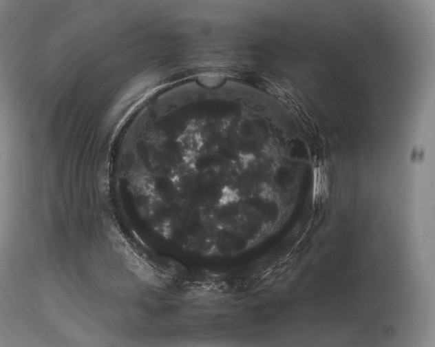 X0000113260243200909171656