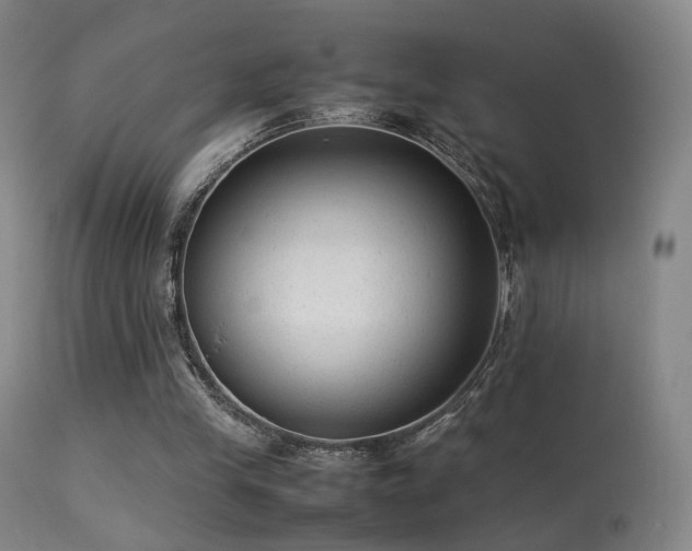 X0000113260245200909171656