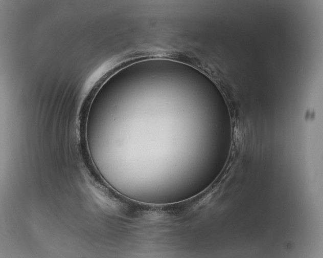 X0000113260246200909171656