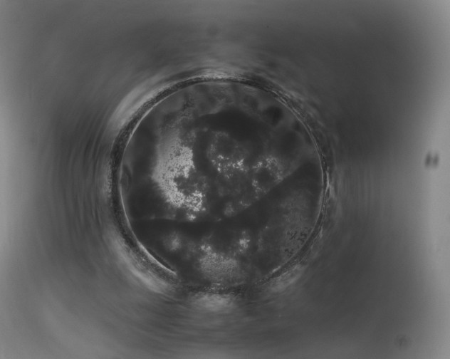 X0000113260247200909171656