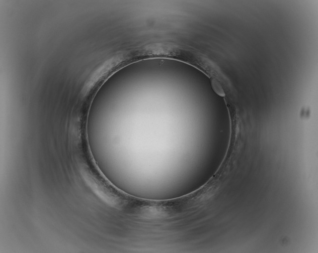 X0000113260250200909171656