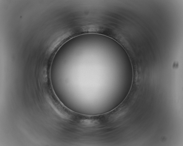 X0000113260251200909171656