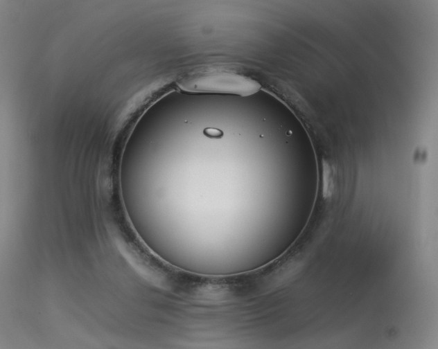 X0000113260252200909171656