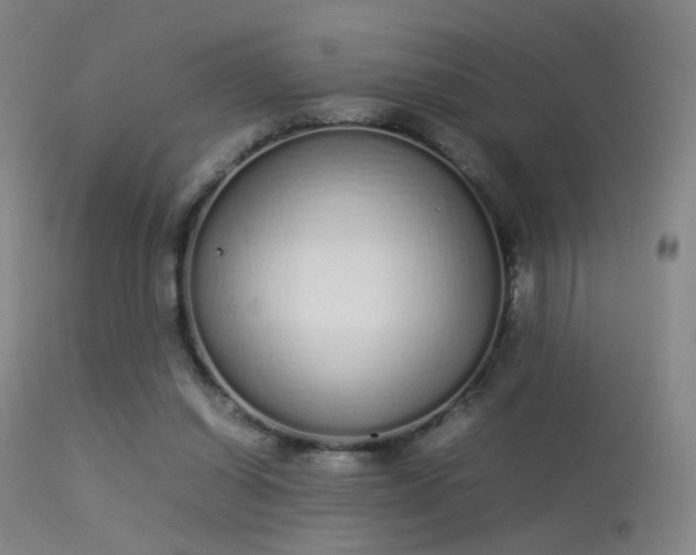 X0000113260254200909171656