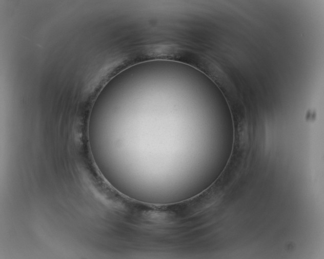 X0000113260255200909171656