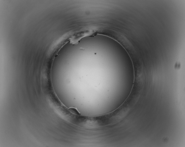 X0000113260256200909171656