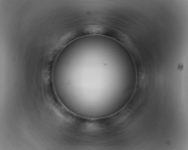 X0000113260259200909171656