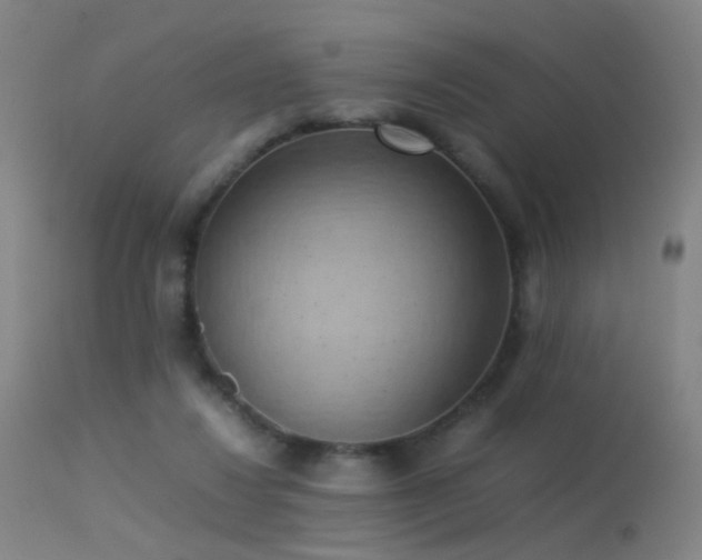 X0000113260260200909171656