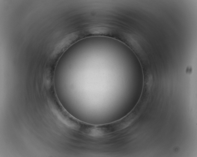 X0000113260261200909171657