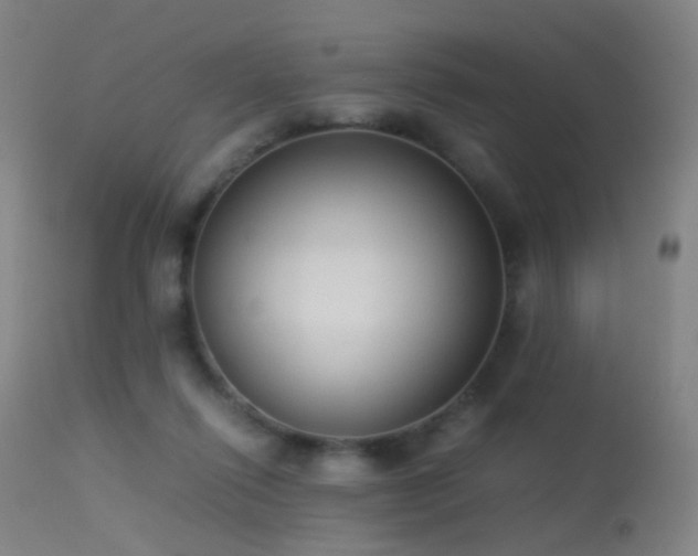 X0000113260262200909171657