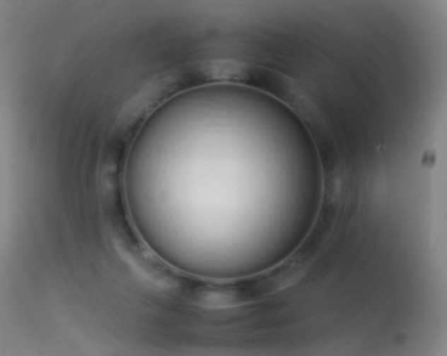 X0000113260263200909171657