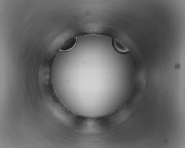 X0000113260264200909171657