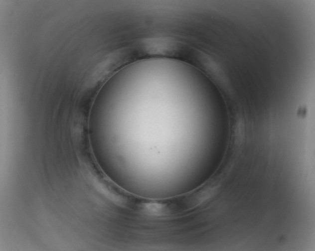 X0000113260265200909171657