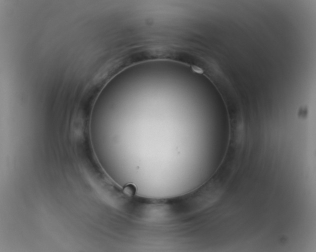 X0000113260266200909171657