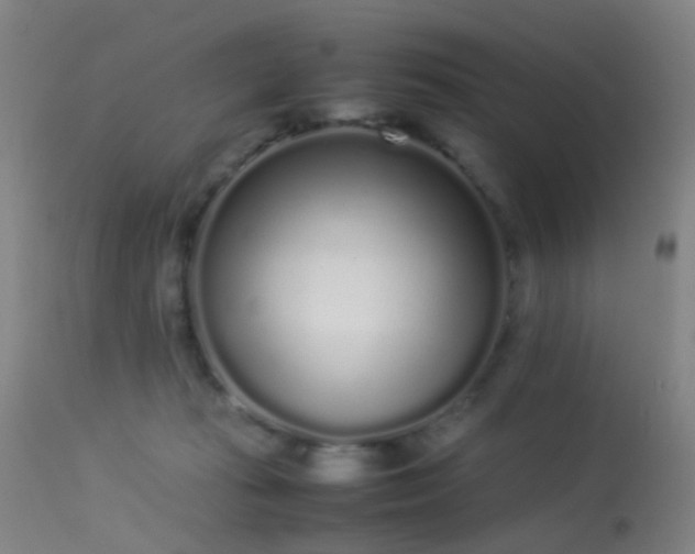 X0000113260269200909171657