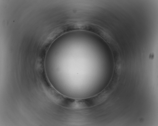 X0000113260270200909171657