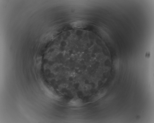 X0000113260271200909171657