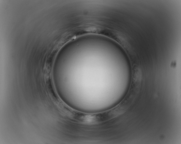 X0000113260273200909171657