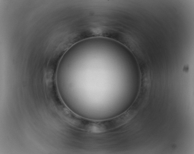 X0000113260275200909171657