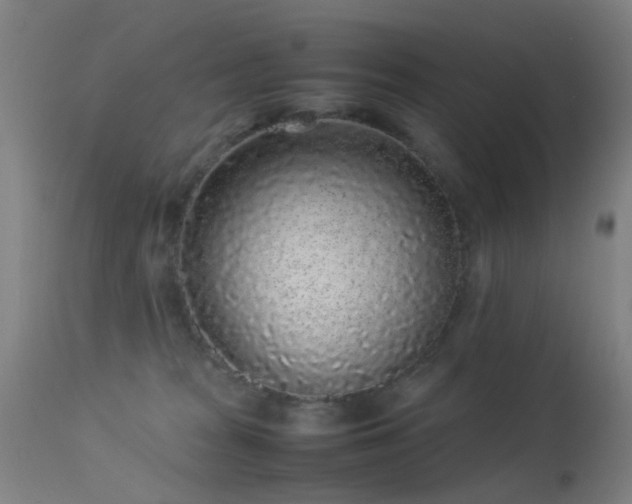 X0000113260277200909171657