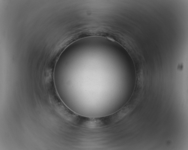 X0000113260278200909171657