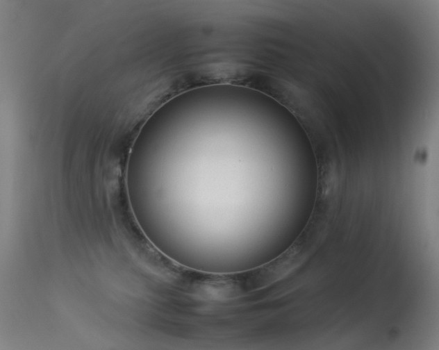 X0000113260279200909171657