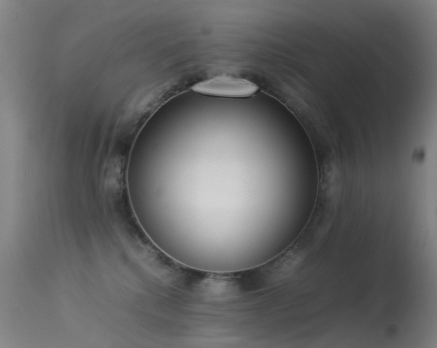 X0000113260280200909171657