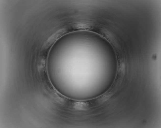 X0000113260281200909171657