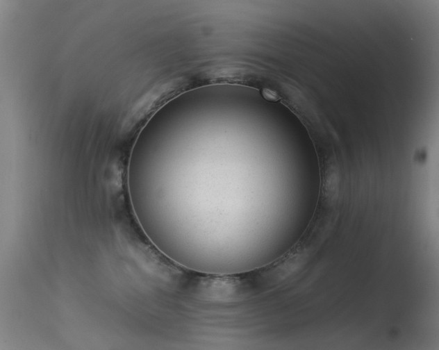 X0000113260282200909171657