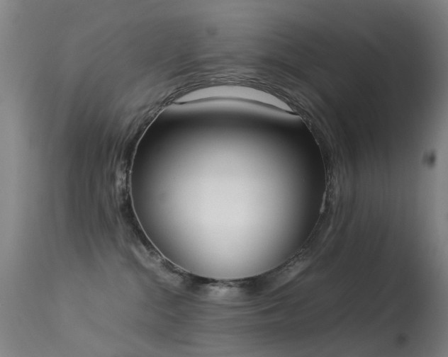 X0000113260284200909171657