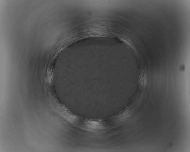 X0000113260285200909171657