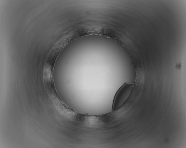 X0000113260287200909171657