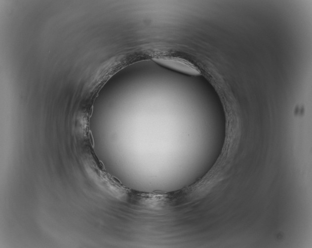 X0000113260288200909171657